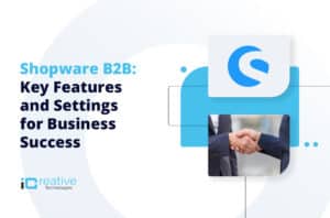 Shopware B2B: Key Features and Settings for Business Success