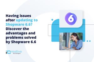 Problem after updating to Shopware 6.6